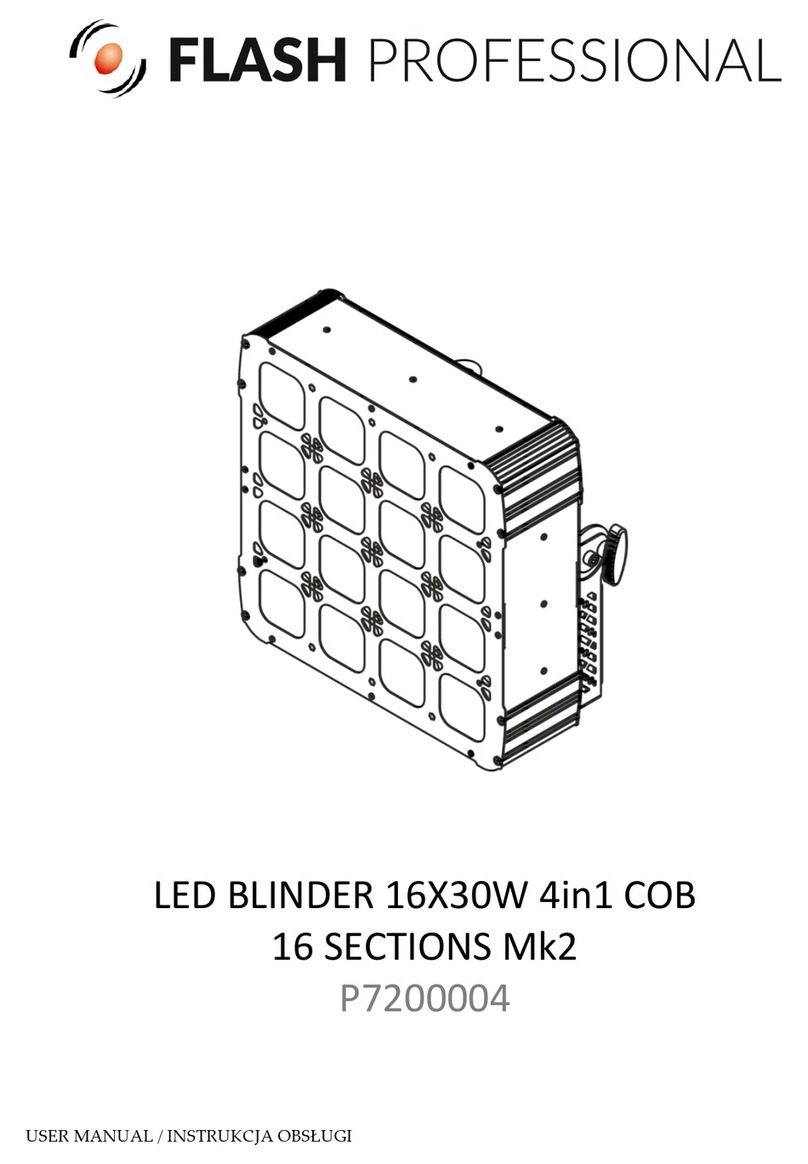Flash professional P7200004 user manual
