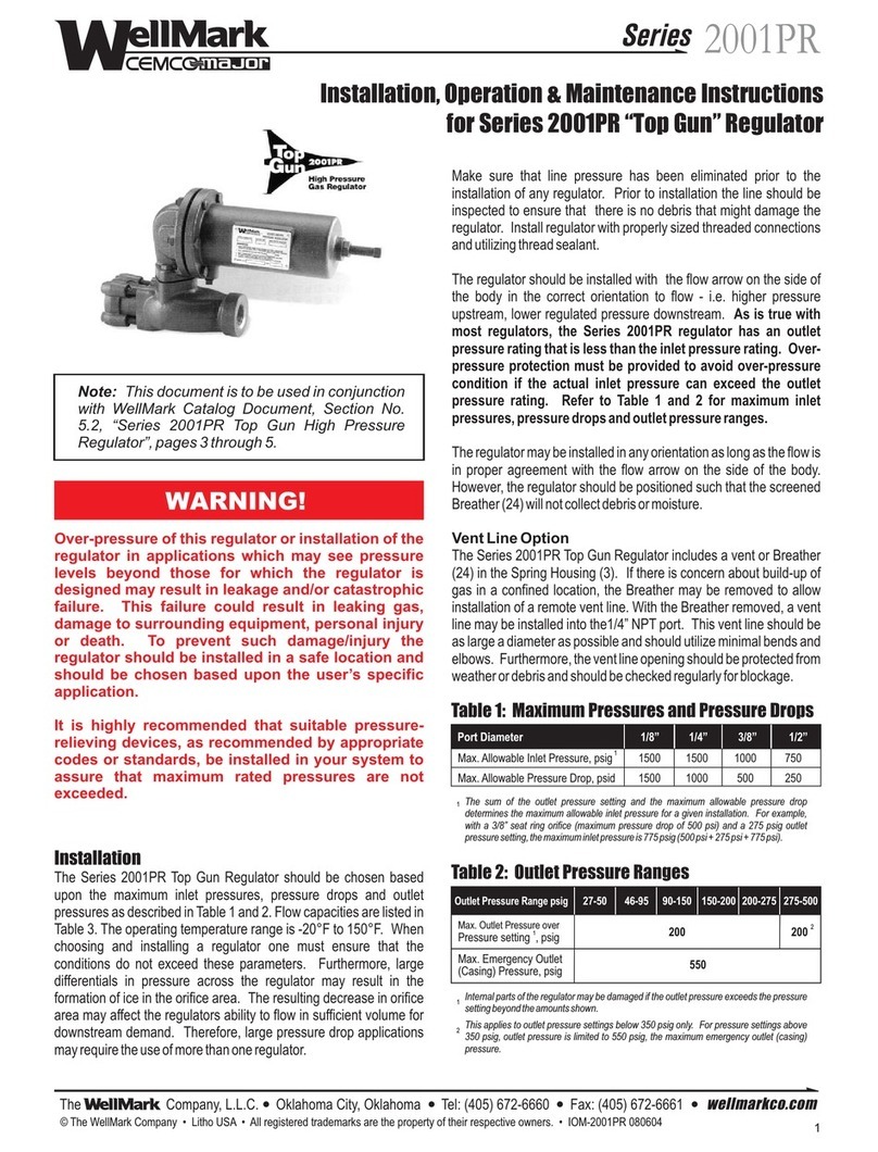 WellMark Top Gun 2001PR Series Guide