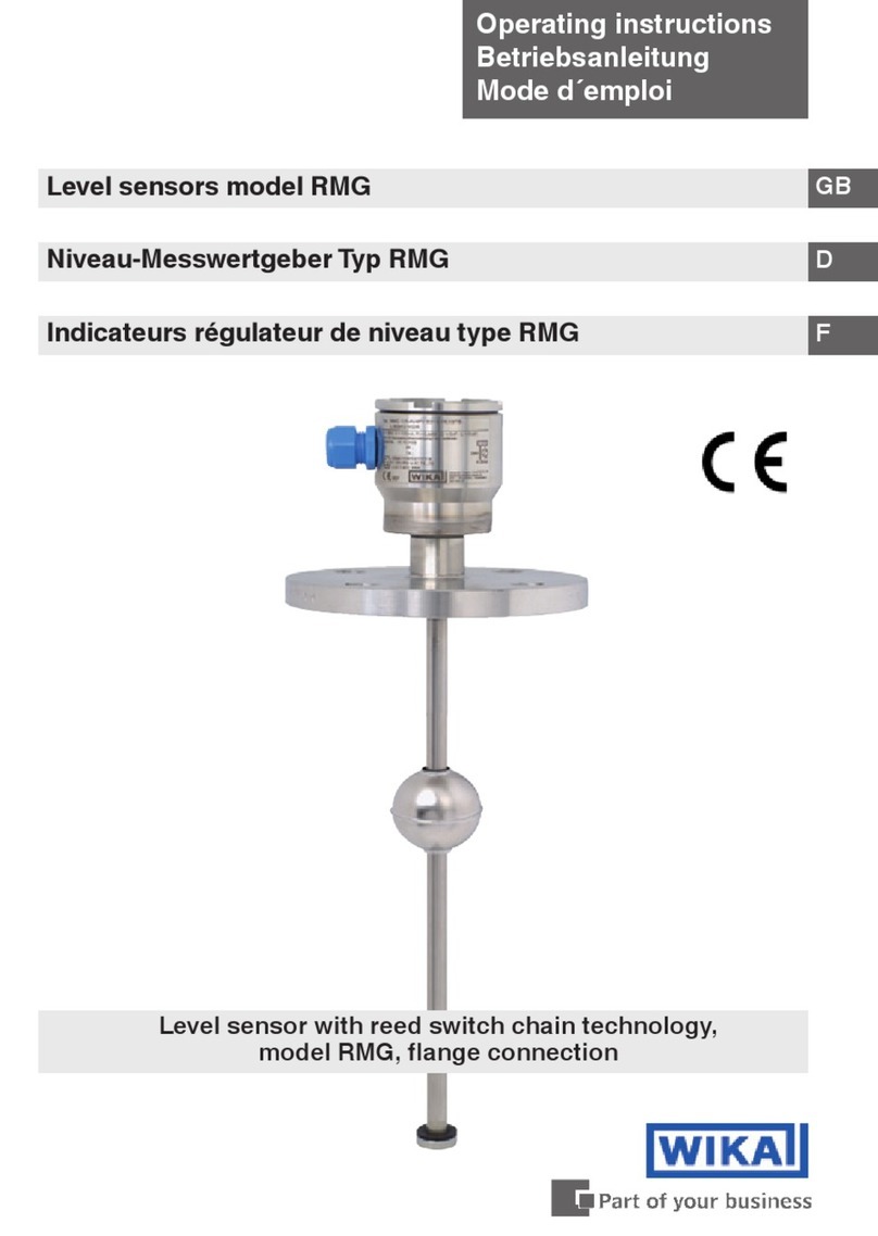 WIKA RMG User manual