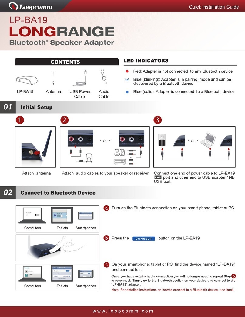 Loopcomm LP-BA19 Quick installation guide