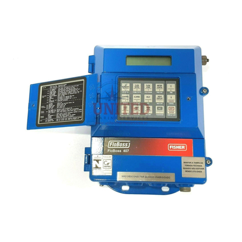 Emerson Fisher FLOBOSS 407 instruction manual