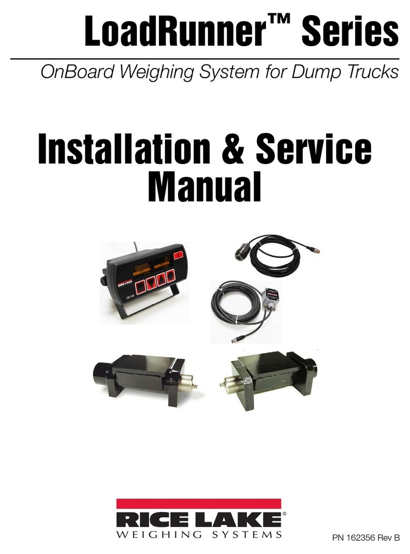 Rice Lake LoadRunner Series Installation & service manual