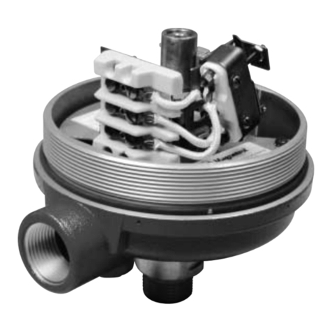 Magnetrol STI R Series Installation and operating manual