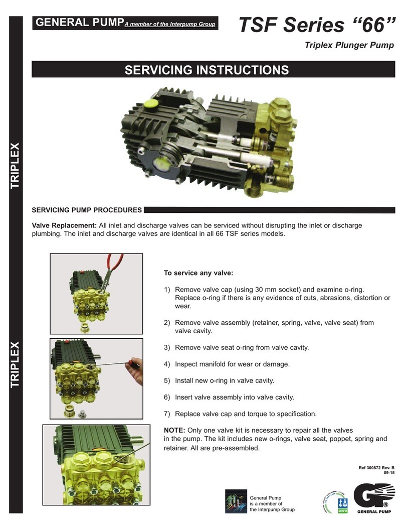General Pump TSF Series 66 Servicing instructions General Pump TSF Series 66 Servicing instructions