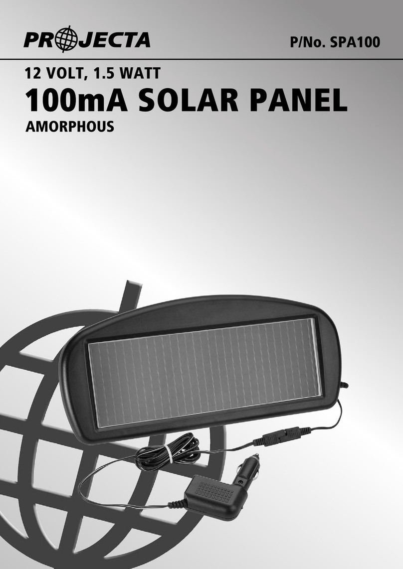 Projecta SPA100 manual