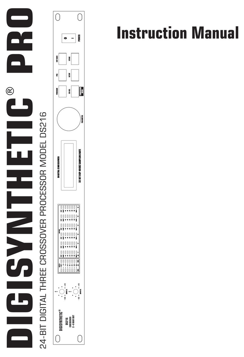 DIGISYNTHETIC DS216 instruction manual