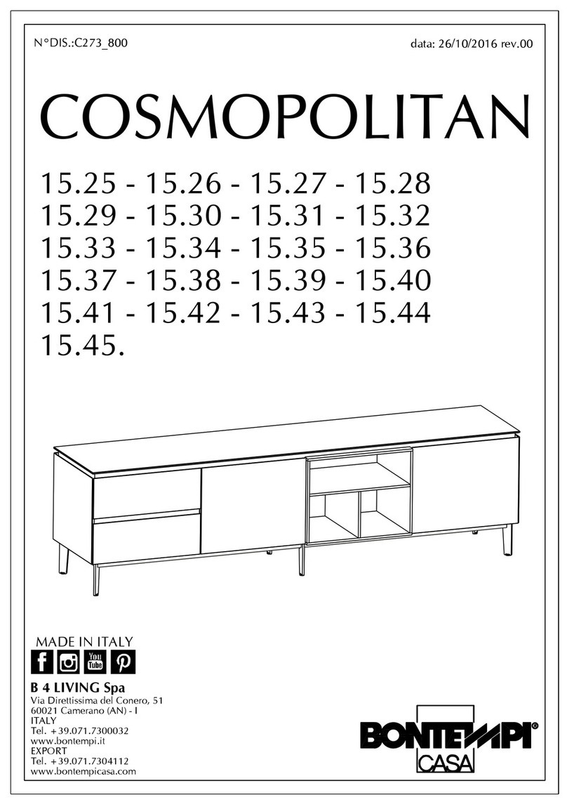 Bontempi COSMOPOLITAN Series User manual