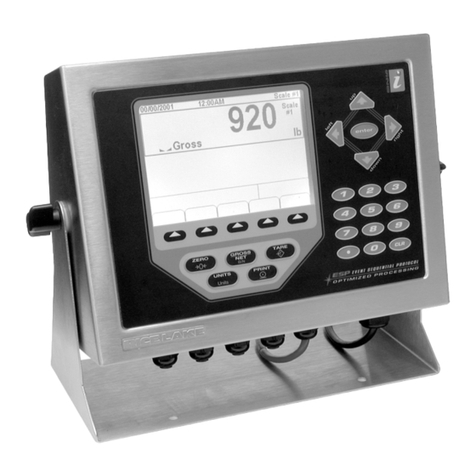 Rice Lake iRite 920i Owner's manual