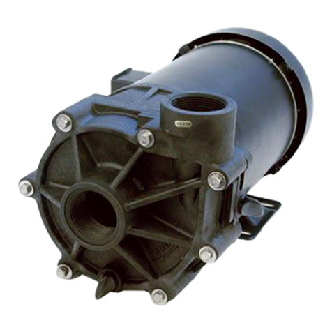 Pentair Pool Products SHURflo Noryl Series Operating Instructions, Performance, Specifications and Parts Manual