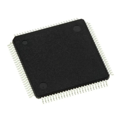Infineon C166S V1 SubSystem User manual