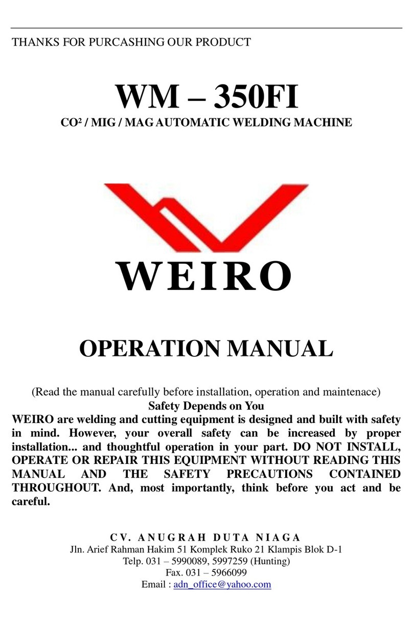 Weiro WM250FI User manual
