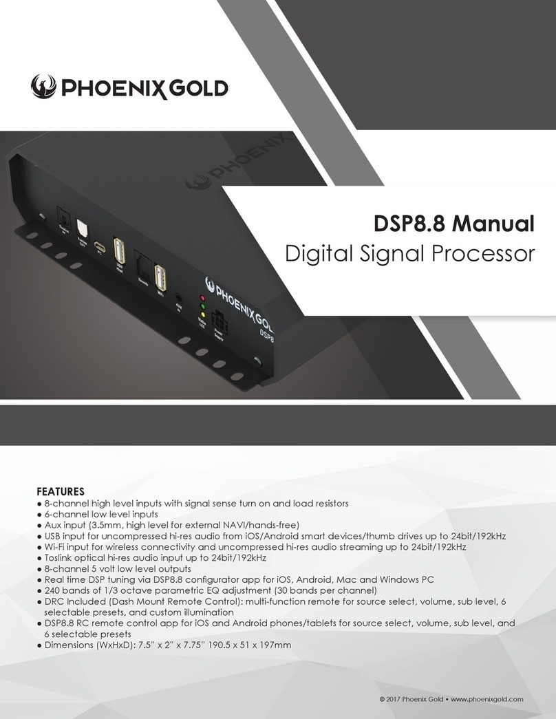 Phoenix Gold DSP8.8 User manual