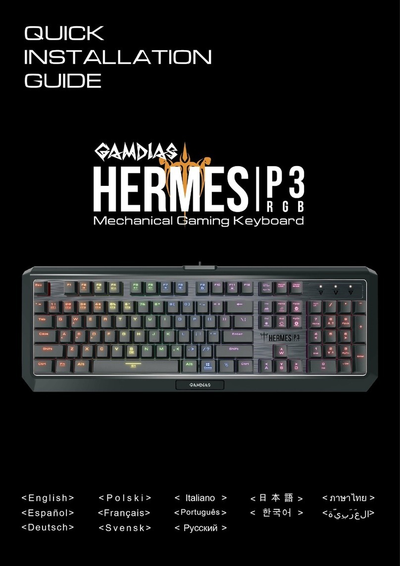 GAMDIAS HERMES P3 User manual
