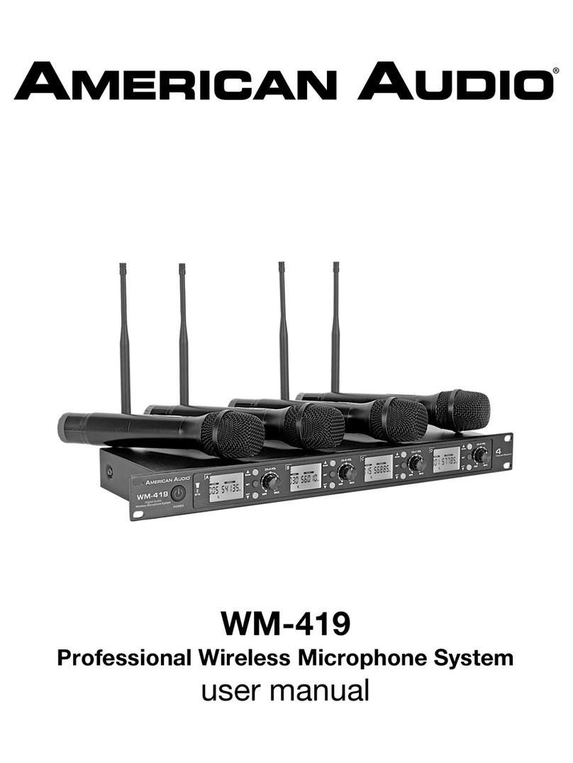 American Audio WM-419 user manual