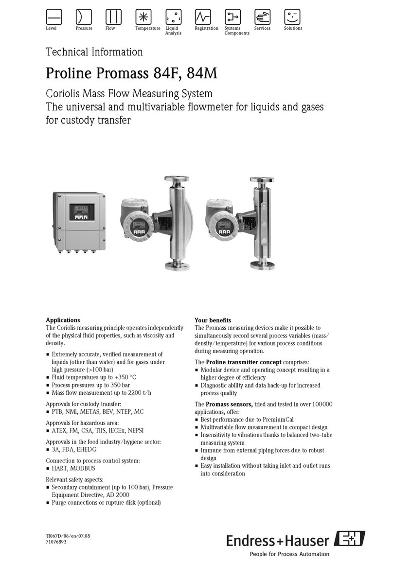 Endress+Hauser Proline Promass 84F Manual