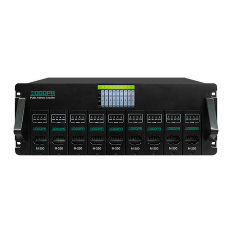 DSPPA DA8250 User manual