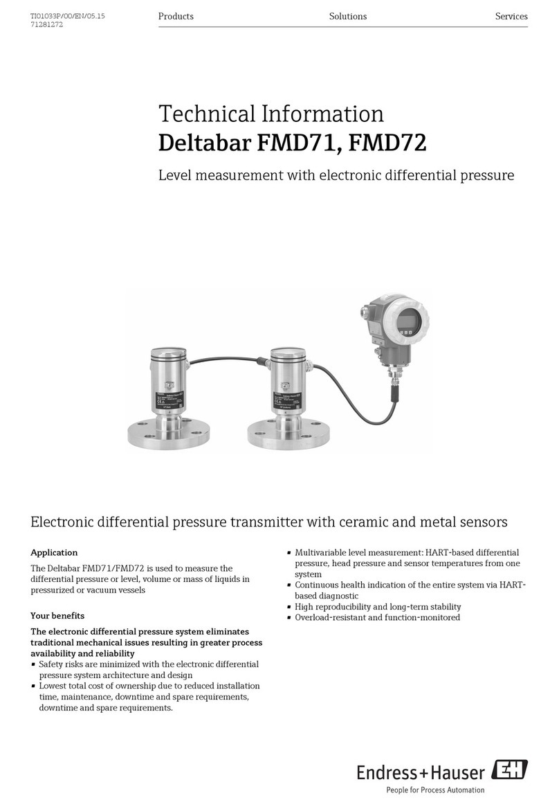 Endress+Hauser Deltabar FMD71 technical information