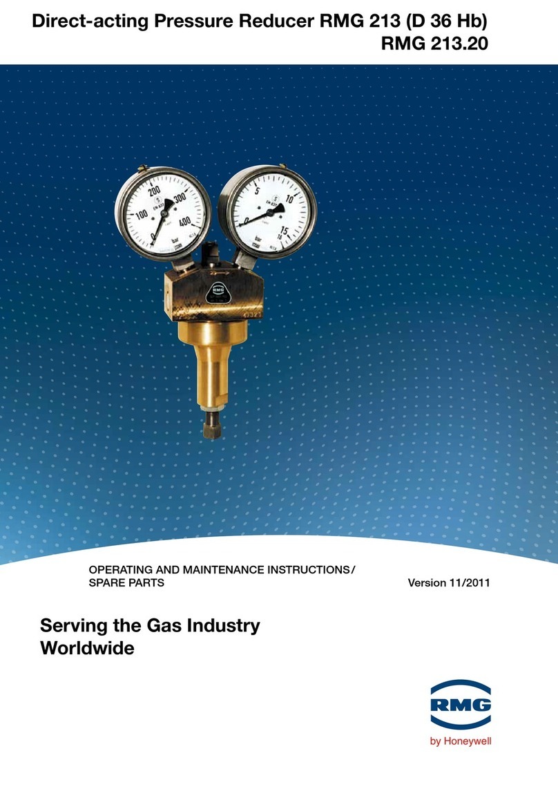 Honeywell RMG 213 Guide