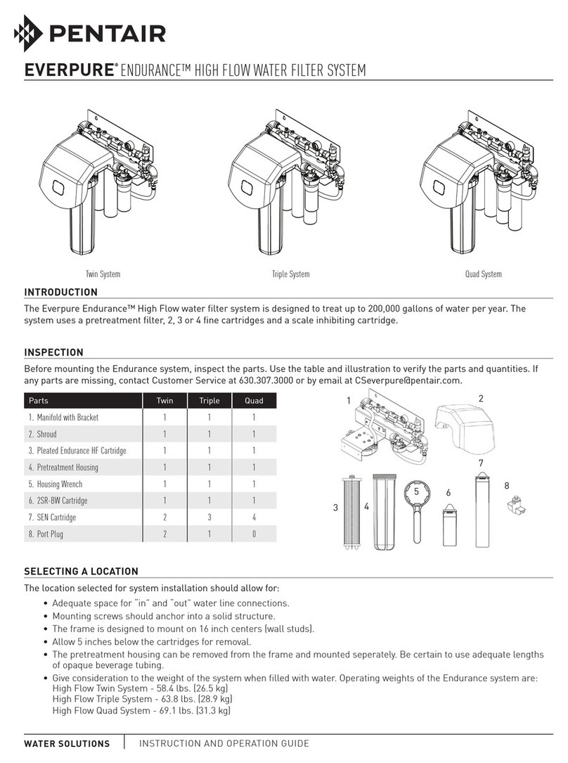 Pentair Everpure Endurance Twin System manual