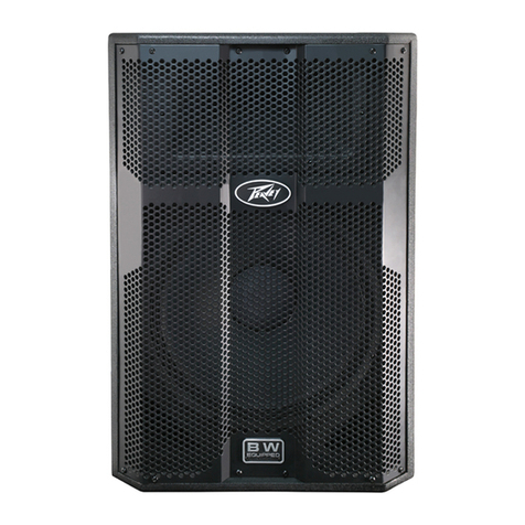 Peavey DPE 2P User manual