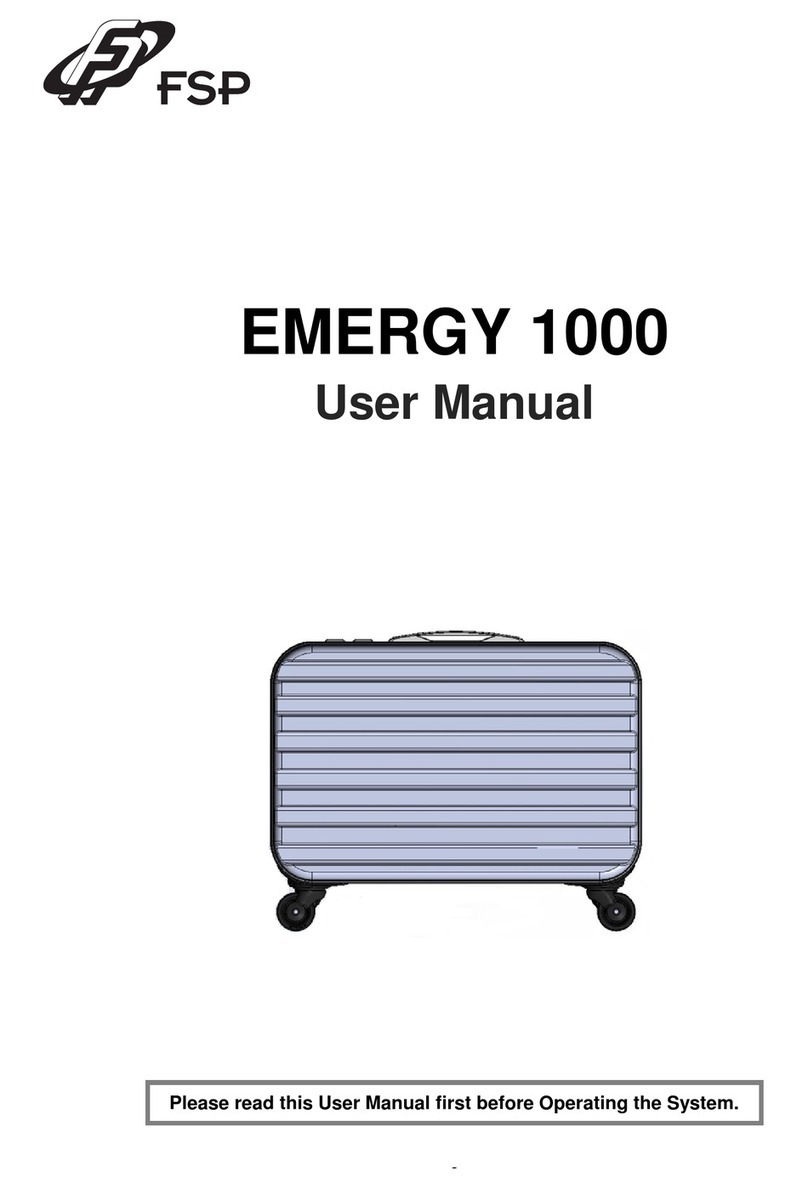 FSP Technology EMERGY 1000 User manual
