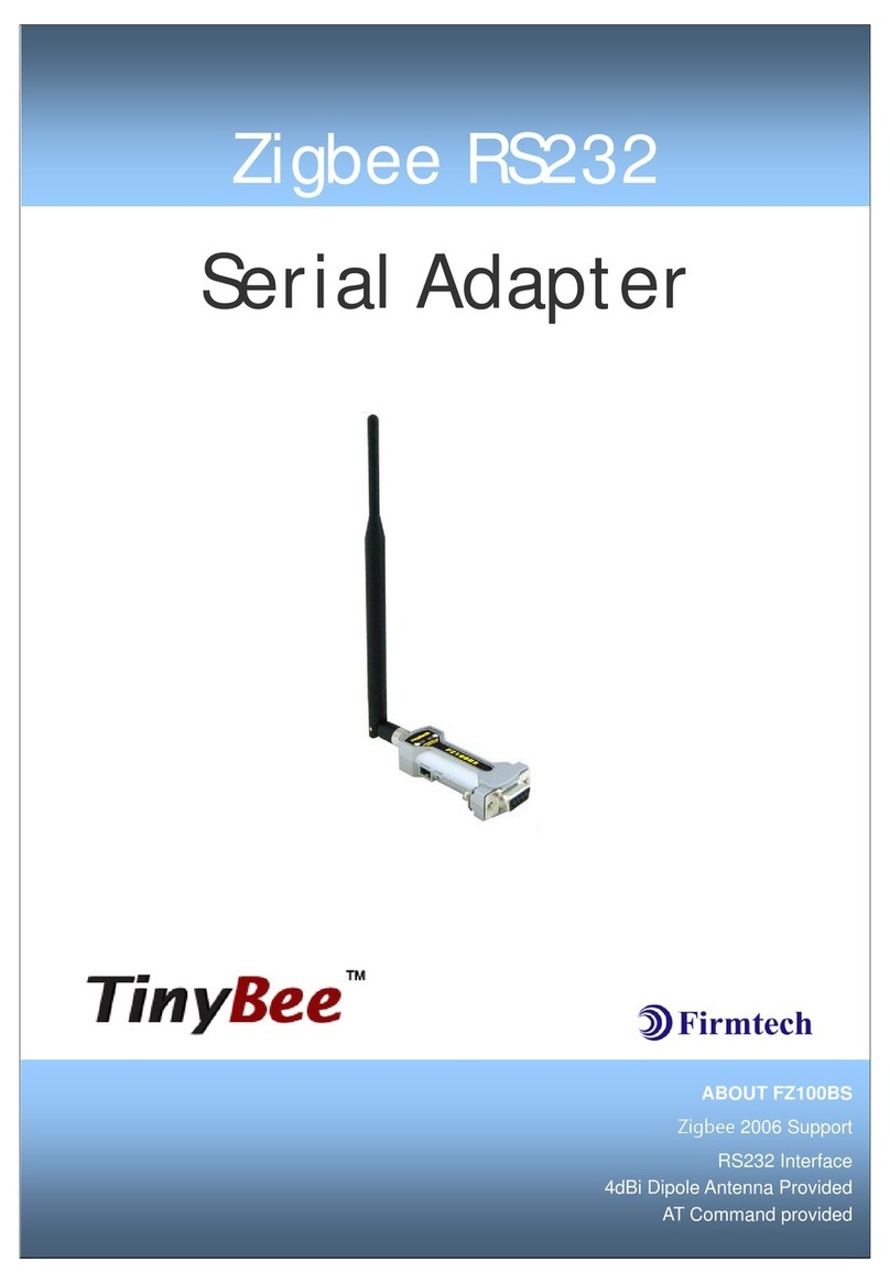 Firmtech TinyBee FZ100BS manual