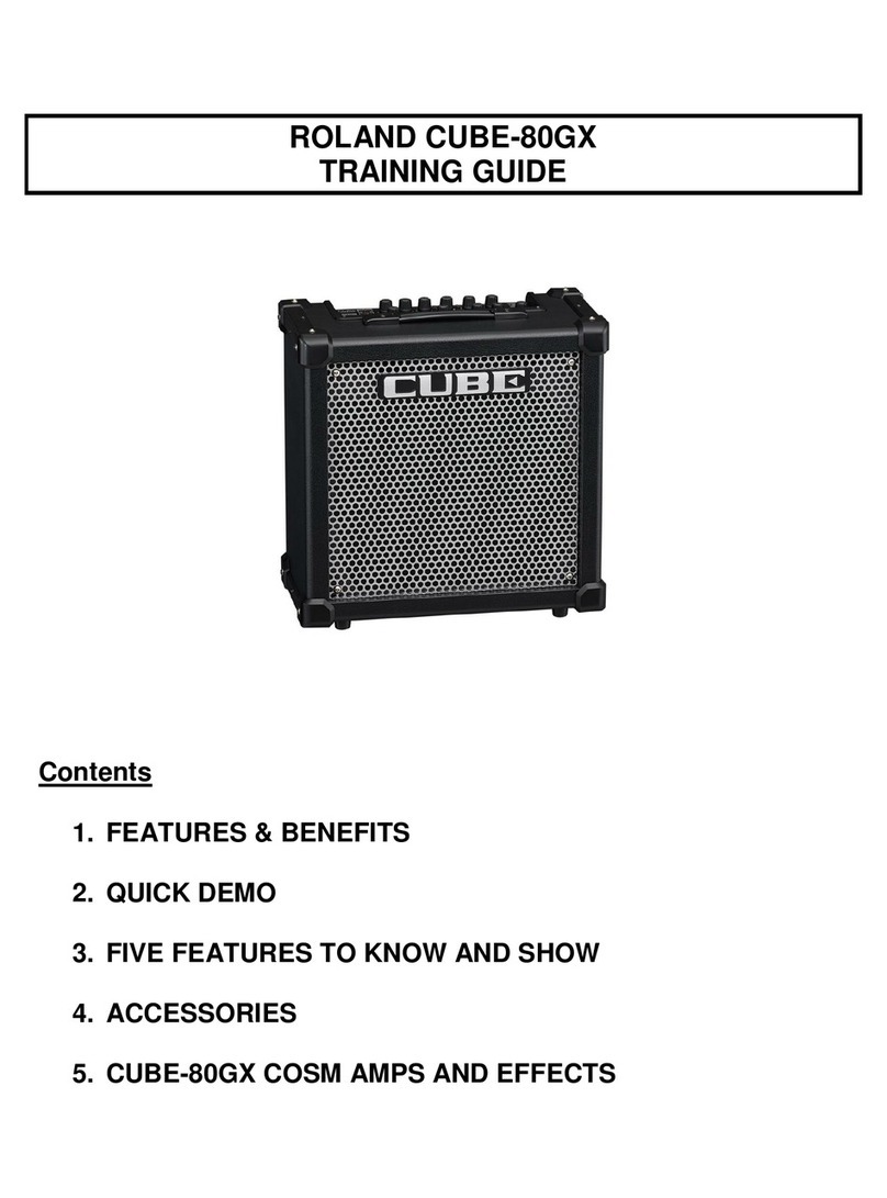 Roland CUBE-80GX Setup guide