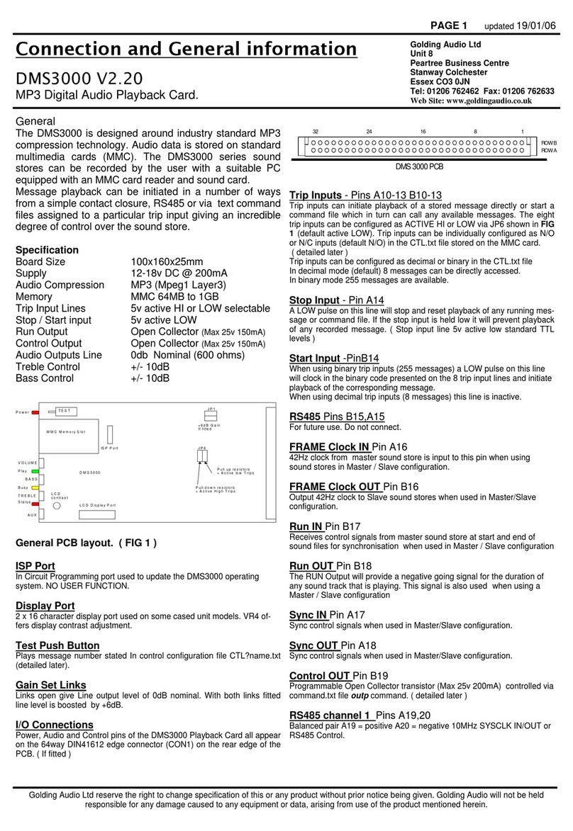 Golding Audio DMS3000 Connection and General information