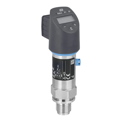 Endress+Hauser Ceraphant PTP31B User manual