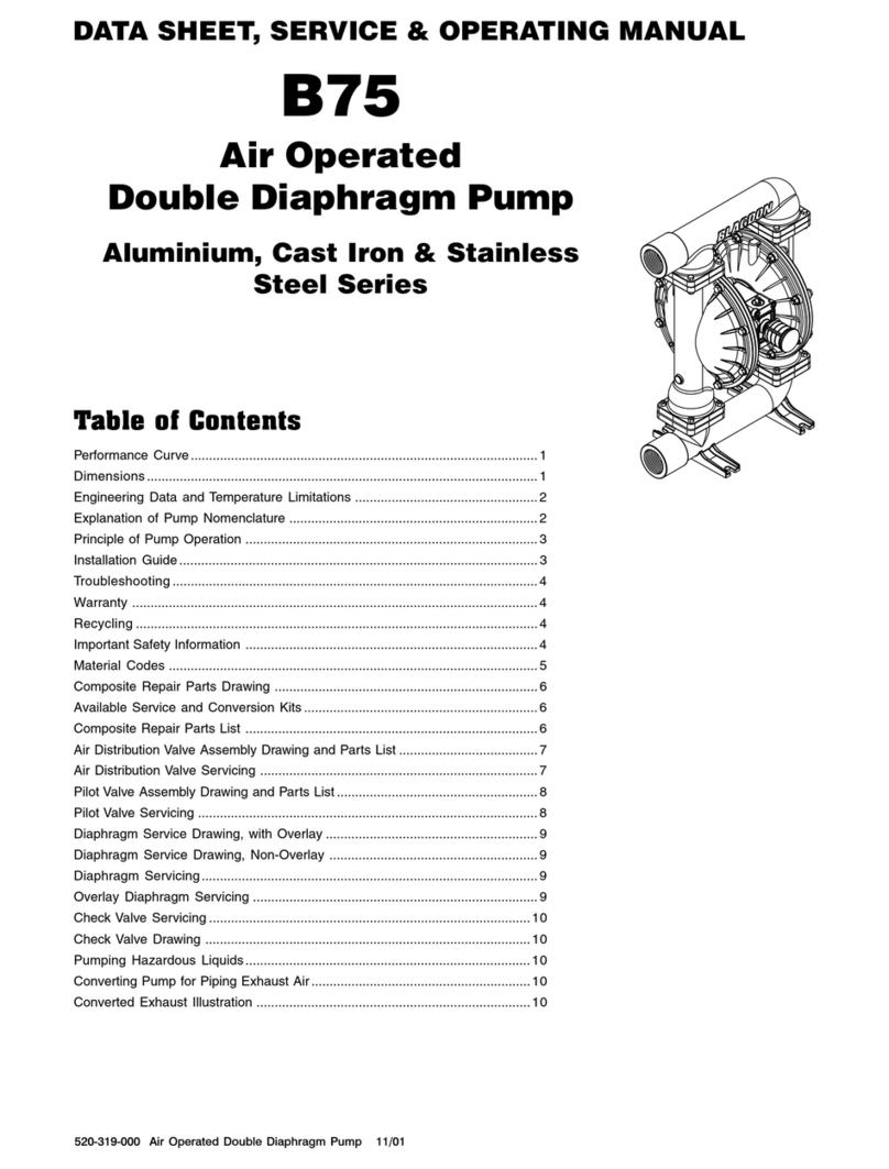 Blagdon Pump B75 Service & operating manual