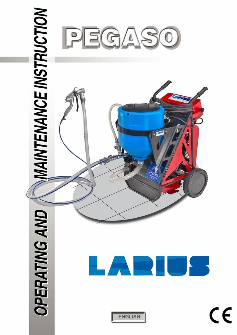 Larius Pegaso Manual