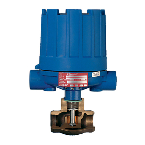 Magnetrol F10 Installation and operating manual