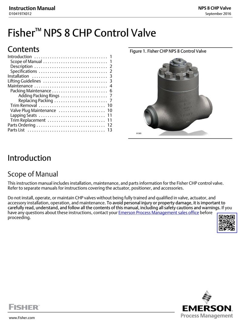 Emerson Fisher NPS 8 CHP User manual
