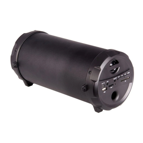 Laser SPK-BT510OD Owner's manual