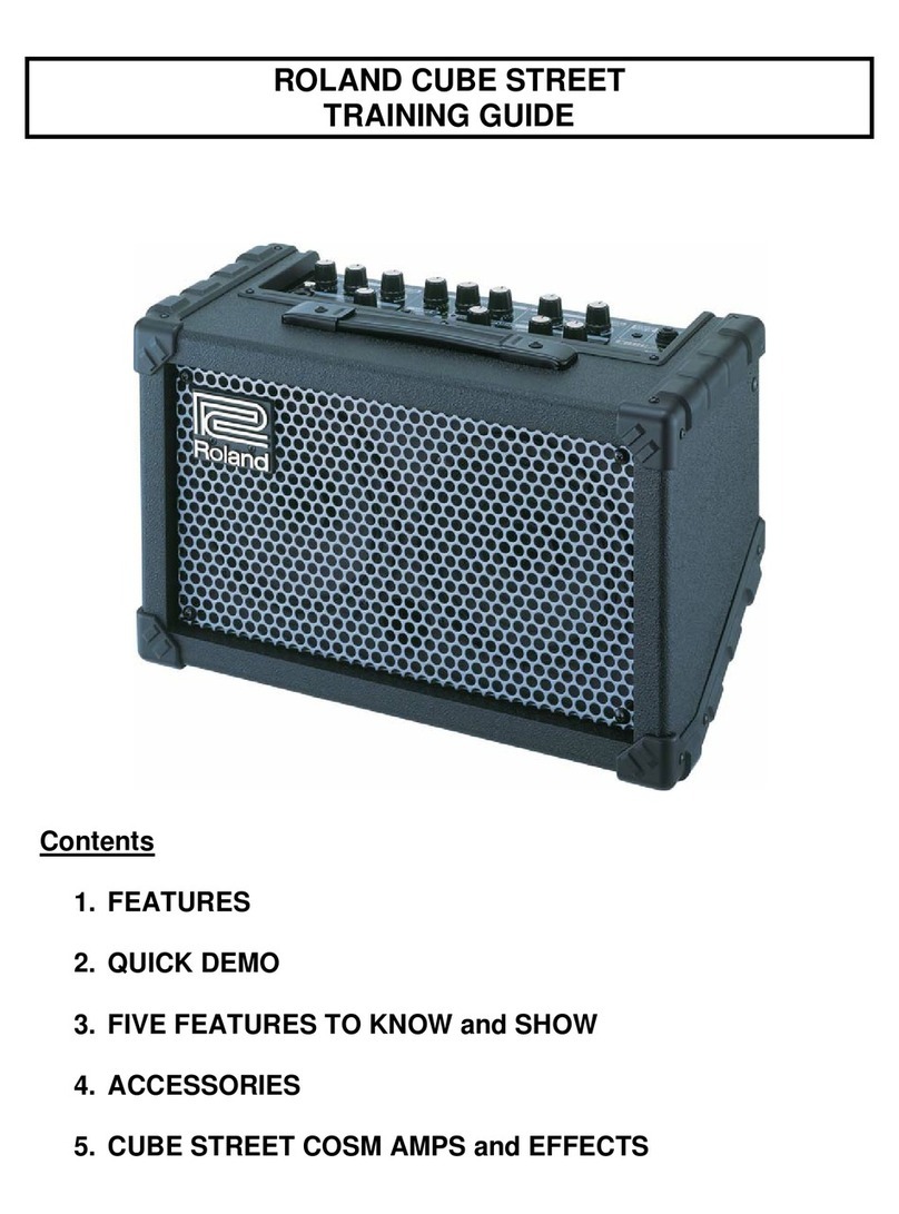 Roland CUBE STREET Training guide