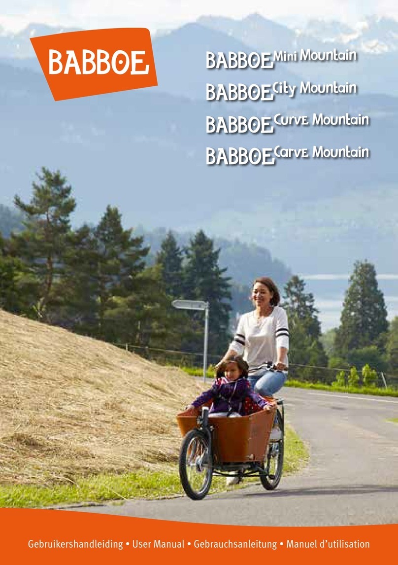 Babboe Mini Mountain user manual