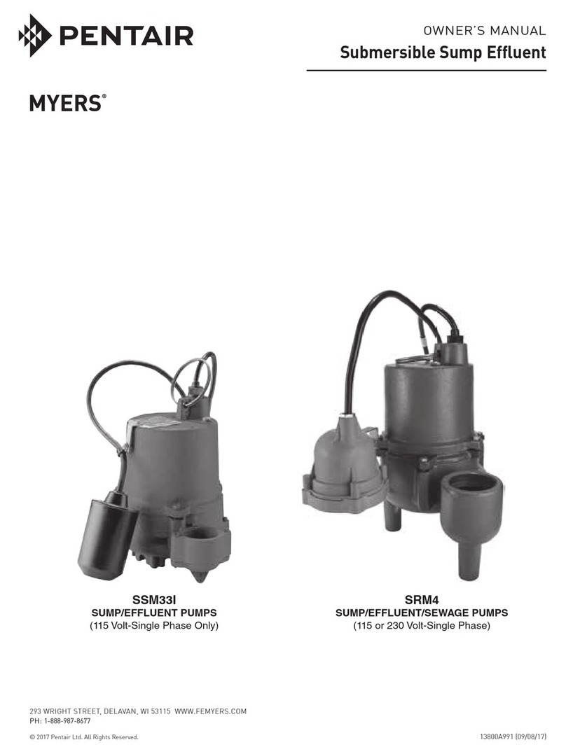 Pentair Myers SSM33I Series owner's manual
