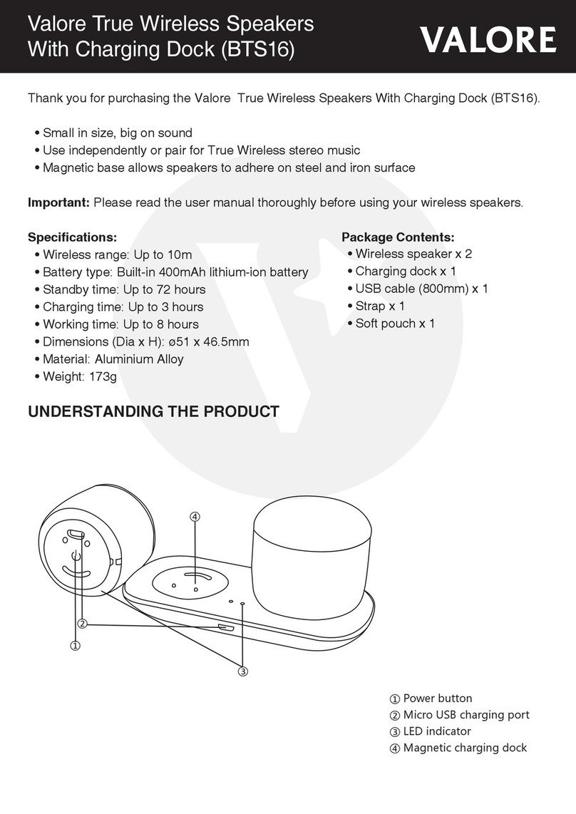 Valore BTS16 User manual