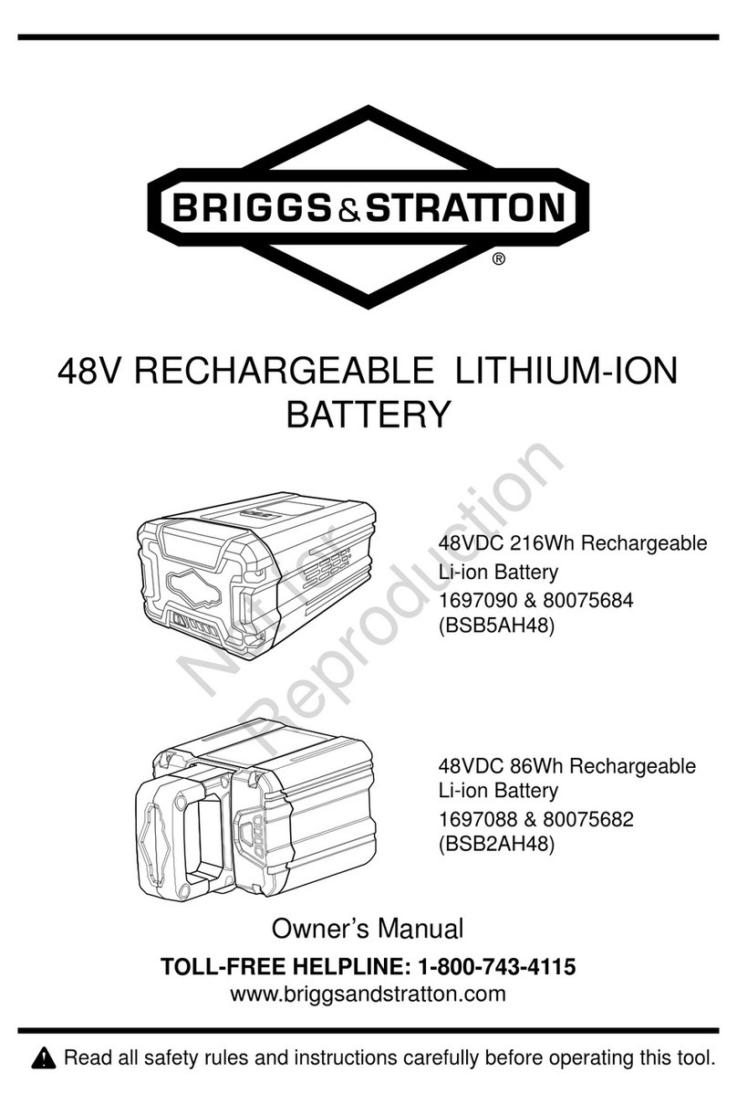 Briggs & Stratton 1697090 User manual