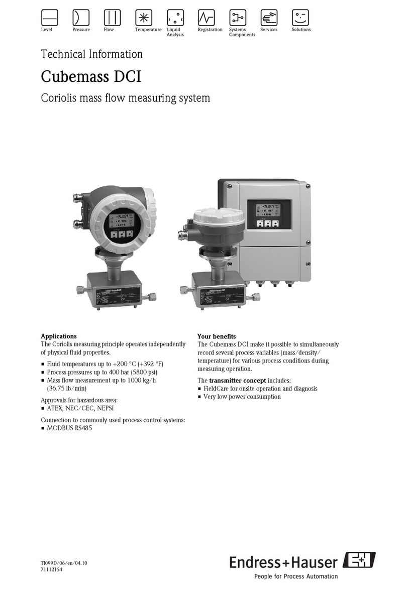 Endress+Hauser Cubemass DCI technical information