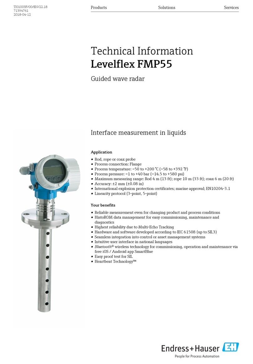Endress+Hauser Levelflex FMP55 Manual