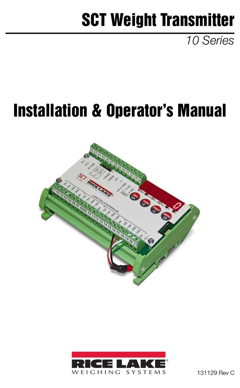 Rice Lake SCT-10 Series Administrator Guide