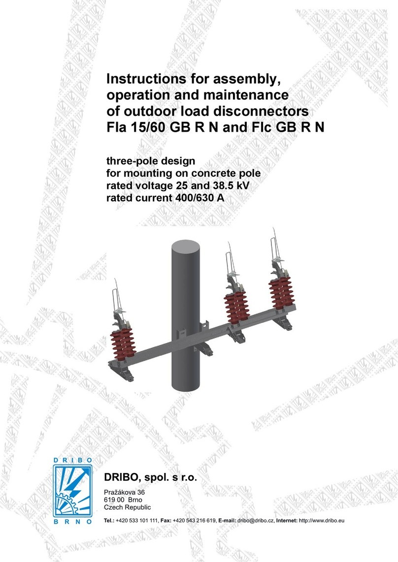 DRIBO Fla 15/60 GB R N Instructions for assembly, operation and maintenance