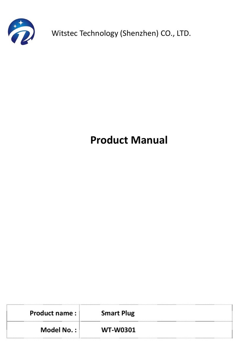 Witstec Technology WT-W0301 User manual
