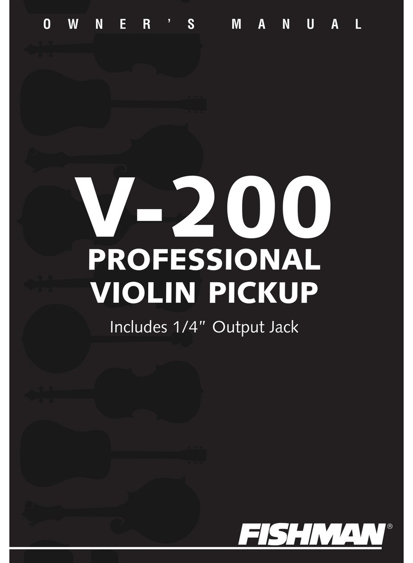 Fishman V-200 owner's manual