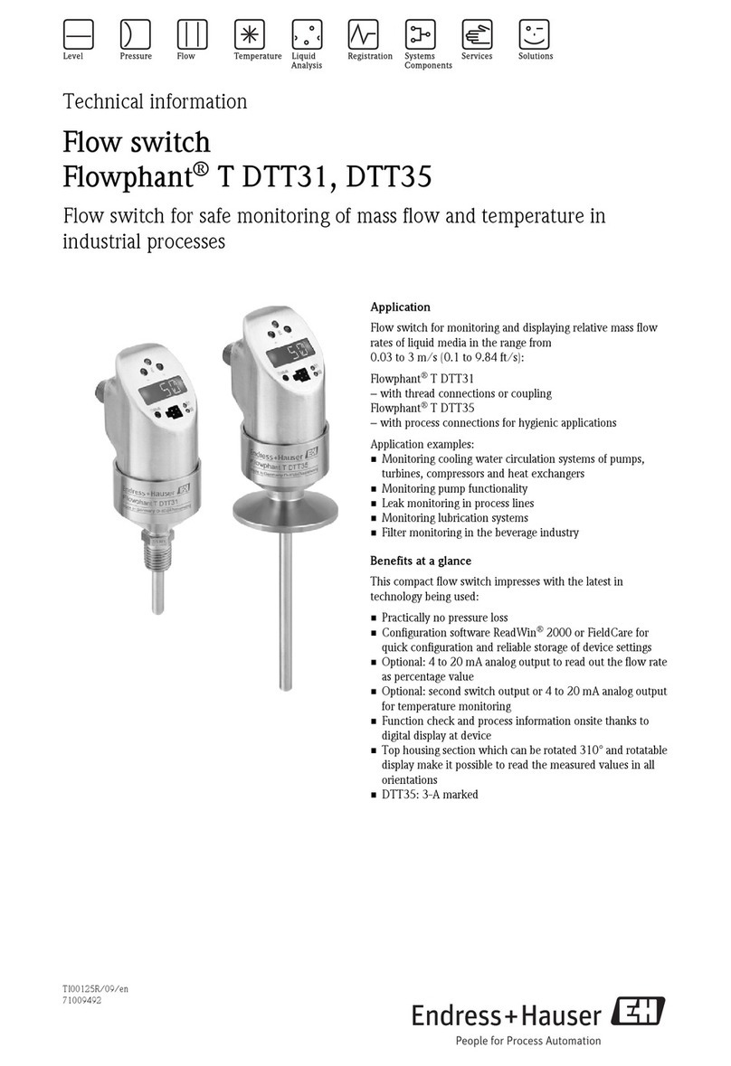 Endress+Hauser Flowphant T DTT31 technical information Endress+Hauser Flowphant T DTT31 technical information