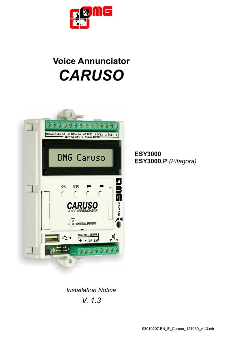DMG CARUSO Installation Notice
