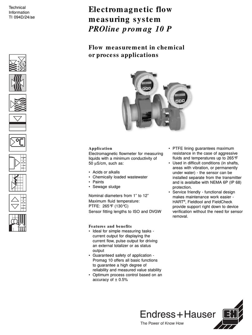 Endress+Hauser PROline promag 10 P Manual