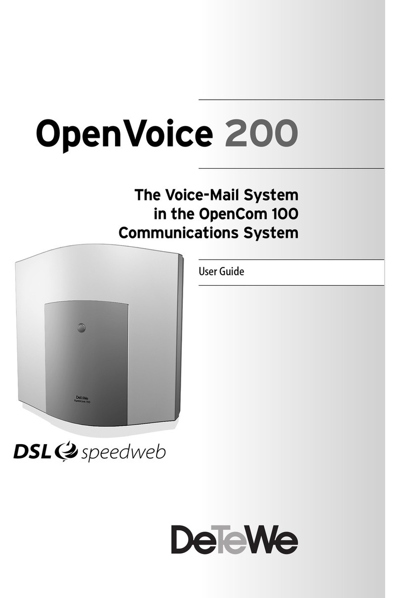 DETEWE OpenVoice 200 User manual