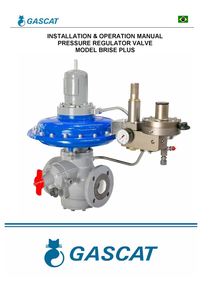 Gascat BRISE PLUS Installation & operation manual